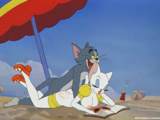 Tom fucks Toodles Galore on a beach | Tom and Jerry Porn Parody by Sfan